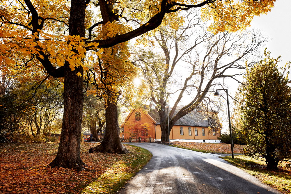 Tyøyen hovedgård