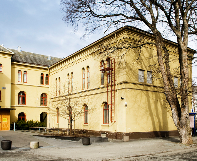 NTNU Vitenskapsmuseet